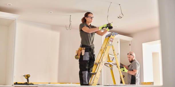 Best Electric Panel Repair  in Moorefield, WV